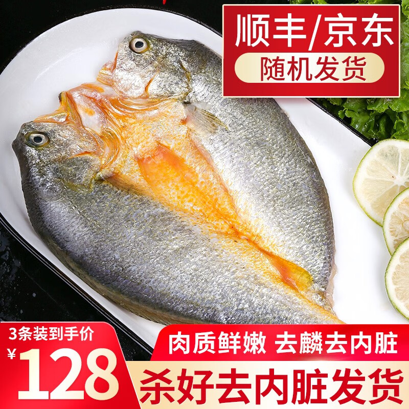 良知农哥 现杀大黄花鱼黄鱼 冷冻海鱼 现杀黄鱼3条1.1-1.3斤/条