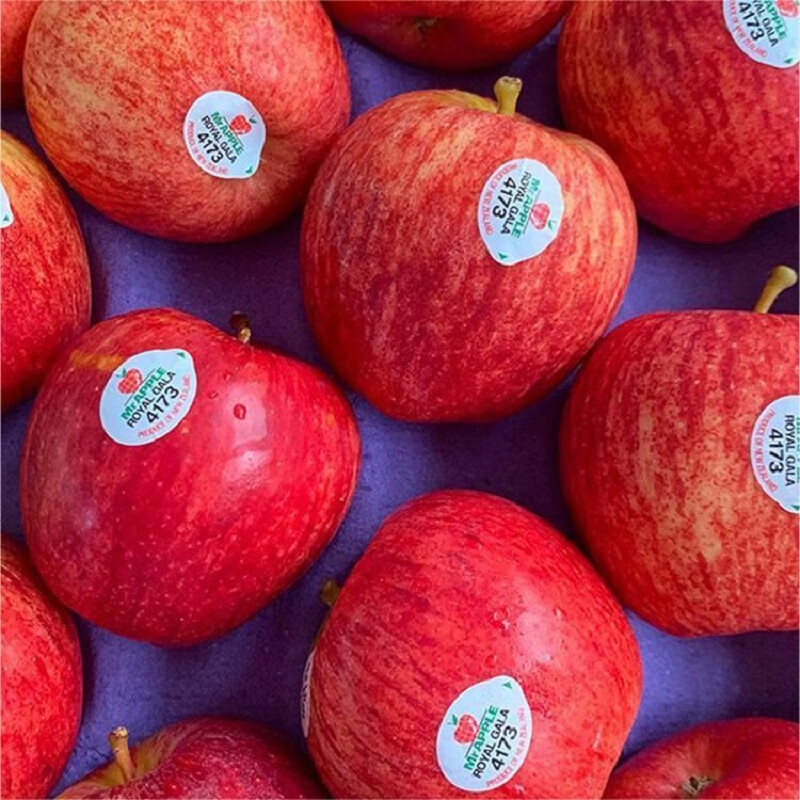 晓筱农场新西兰进口嘎啦果6个装 水果当季新鲜姬娜苹果加力果加丽果