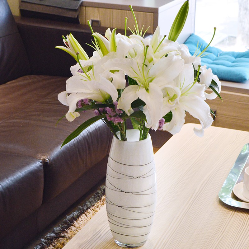 斗南基地直发百合鲜切花家用水养插花送女朋友生日礼物 20朵白百合