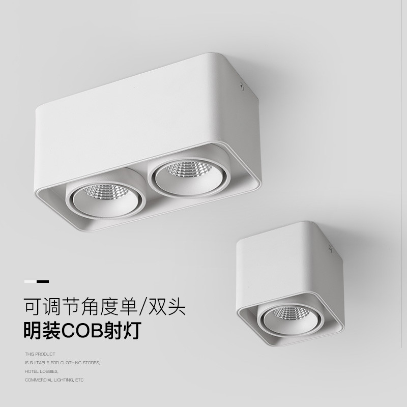 明装双头射灯led天花灯吸顶式斗胆灯客厅筒灯方形无主灯照明 7w 白壳
