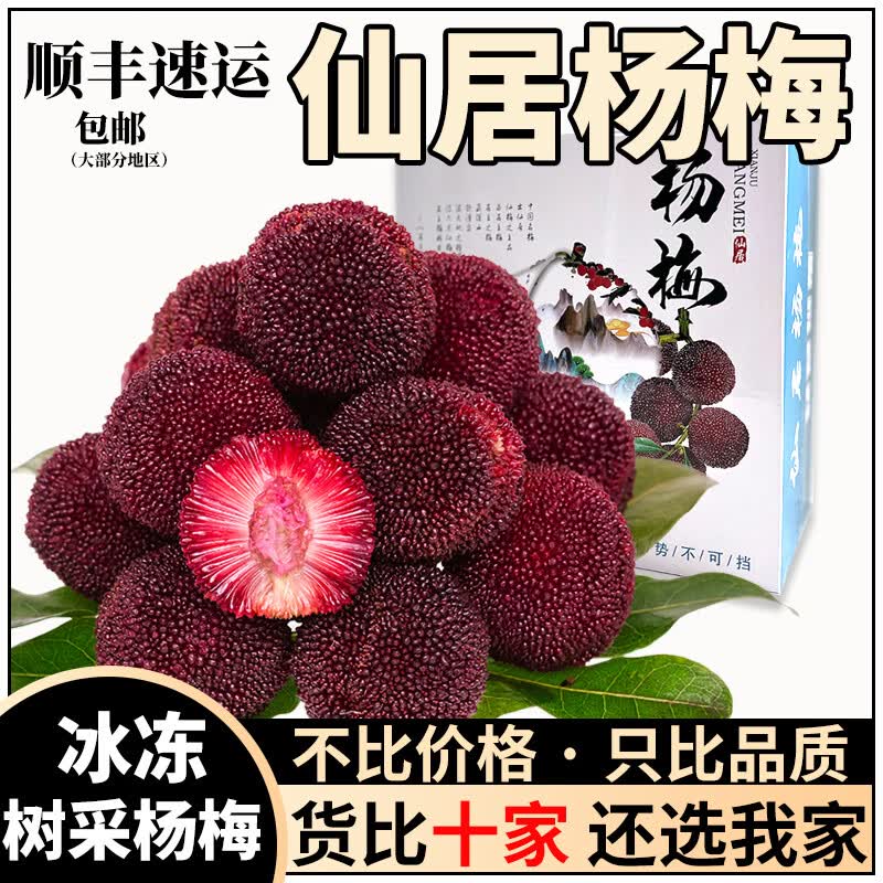 仙居杨梅冻鲜杨梅头茬当季东魁水果特大杨梅礼盒装整箱 东魁2斤 单果15g+怎么看?
