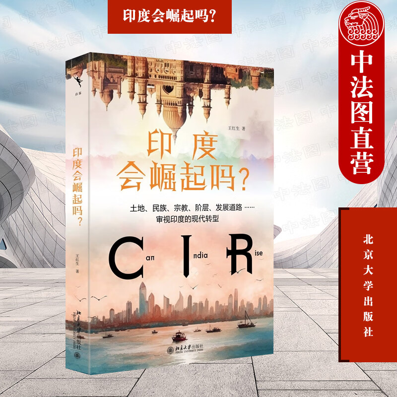 印度会崛起吗? 王红生 北京大学出版社 