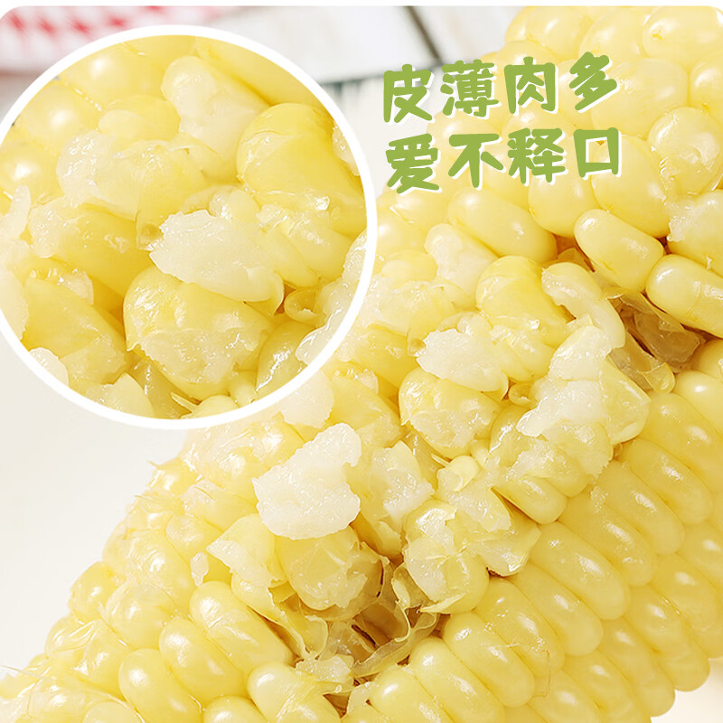 东北白糯玉米棒 新鲜甜糯玉米棒 代餐轻食真空包装黏粘玉米 东北白糯玉米200g*8棒