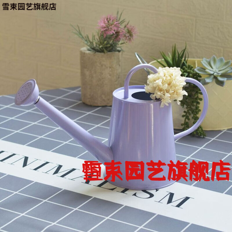 恒系蓬壶 喷壶出口款铁皮喷壶浇花水壶长嘴蓬壶家用养花儿童洒水壶