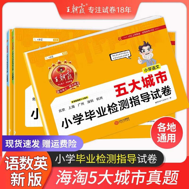 2023王朝霞城市卷五大城市小学毕业检测指导卷小升初真题卷小学升初中考试卷子 语文小学通用 京东折扣/优惠券