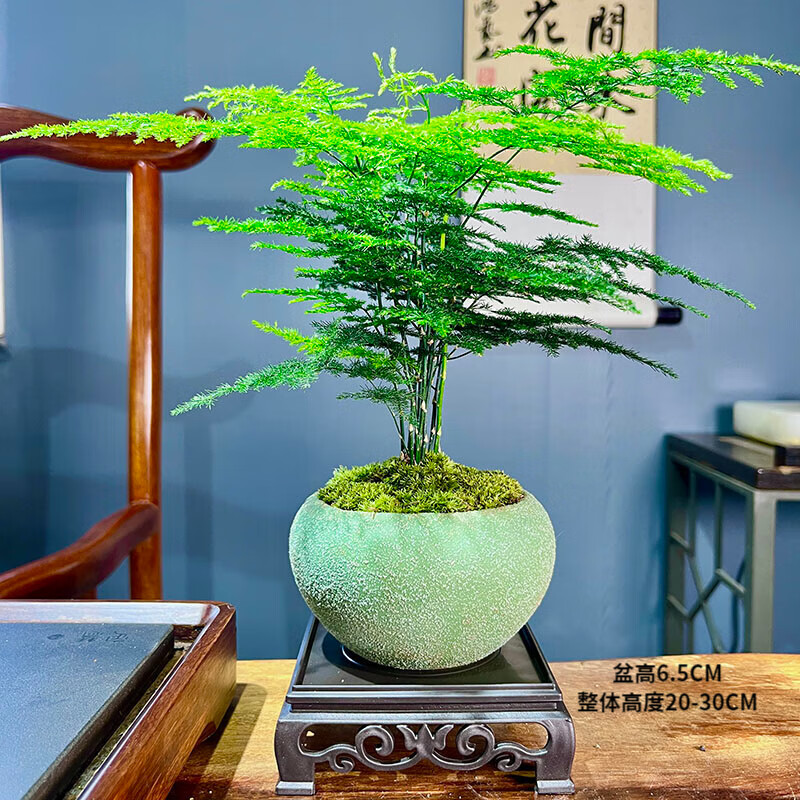 京东新品首发 2023-05-10 - 第12张  | 最新购物优惠券