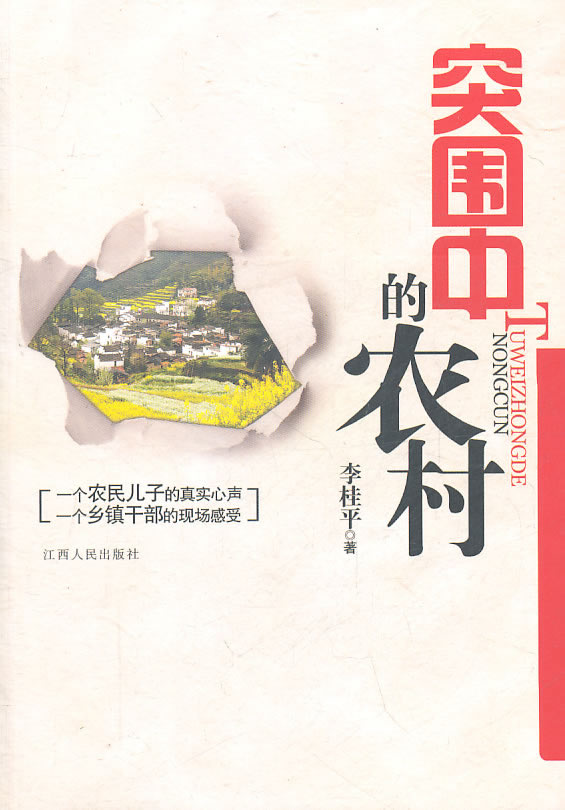 突围中的农村【正版】