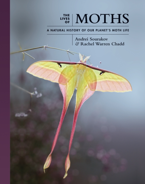 预订the lives of moths