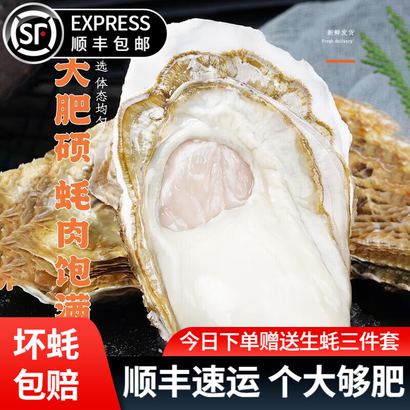 贝倍鲜山东乳山新鲜生蚝 鲜活牡蛎海蛎子海鲜贝类生蚝烧烤食材 4XL 净重4斤（约10-12个）