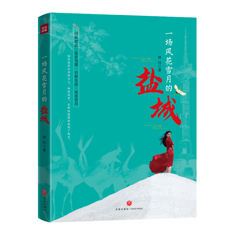 一场风花雪月的盐城（用风花雪月重新定义盐城的情感与温度）