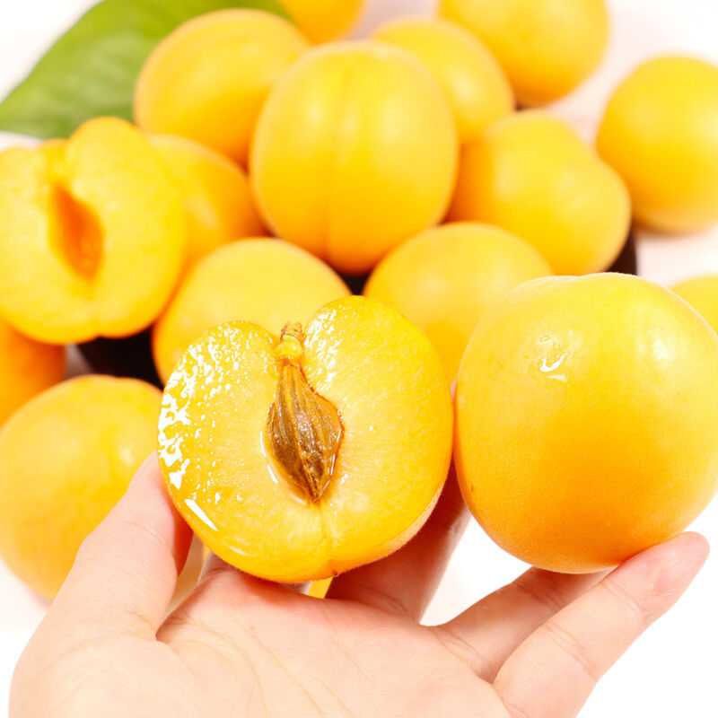 山西大黄杏新鲜水果金太阳酸甜杏子2斤3斤5斤孕妇水果 精选 净重5斤