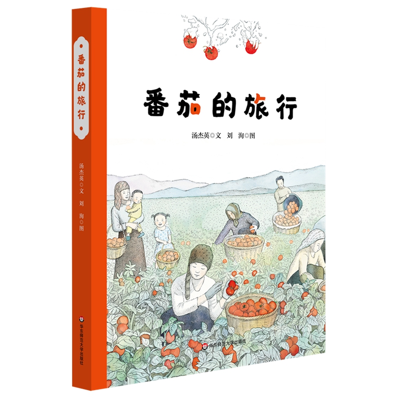 番茄的旅行（精装）（美慧树原创绘本）怎么看?