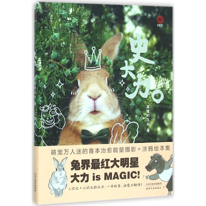 史大力 英俊的马头 作 书籍