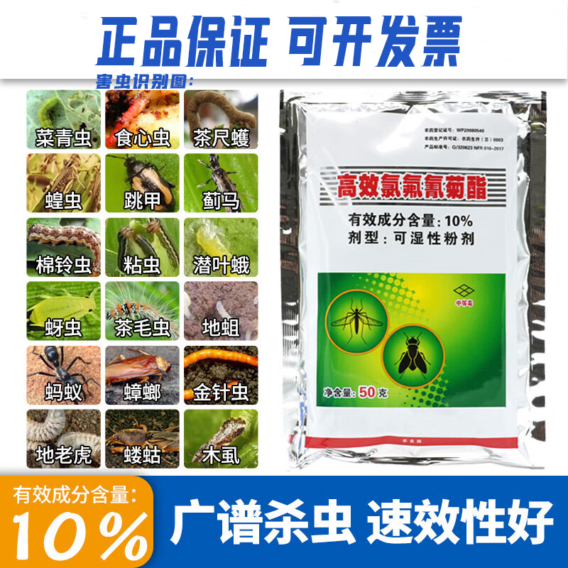 高效氯氰氟菊酯高效氯氟氰菊酯地下害虫强力土壤杀虫药农药杀虫剂 50g