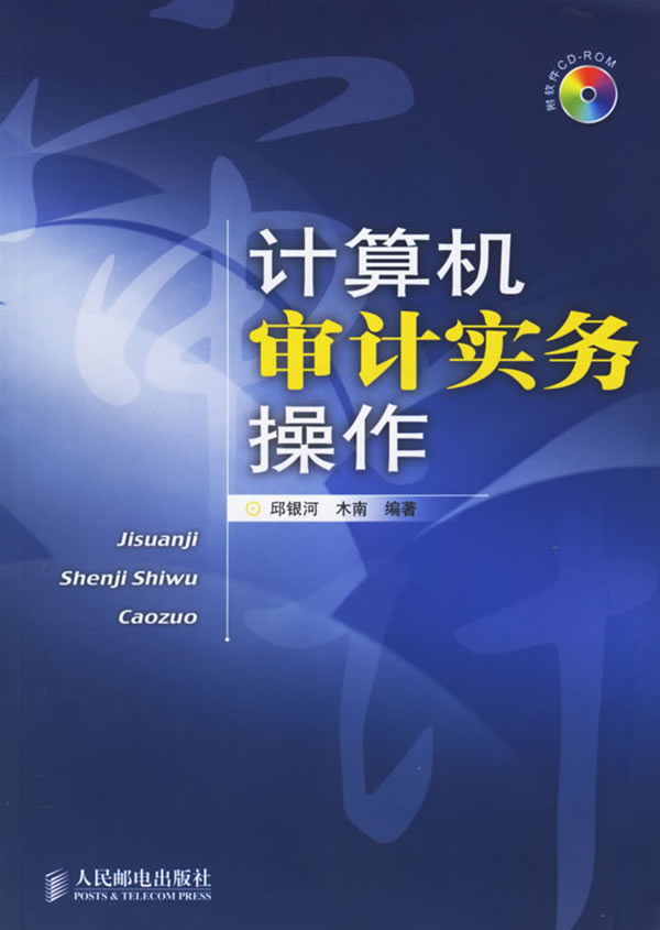 计算机审计实务操作【正版图书】