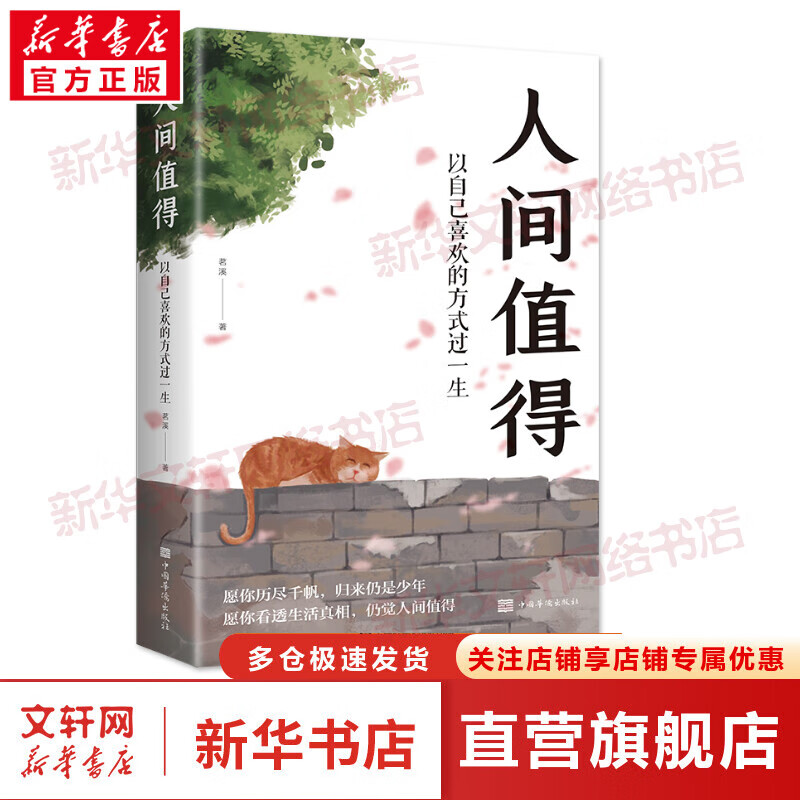 人间值得 以自己喜欢的方式过一生 图书