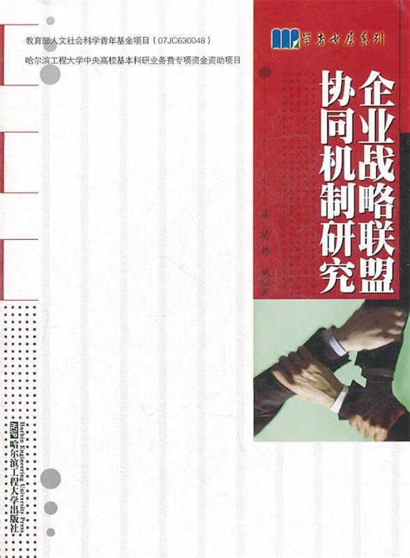 企业战略联盟协同机制研究