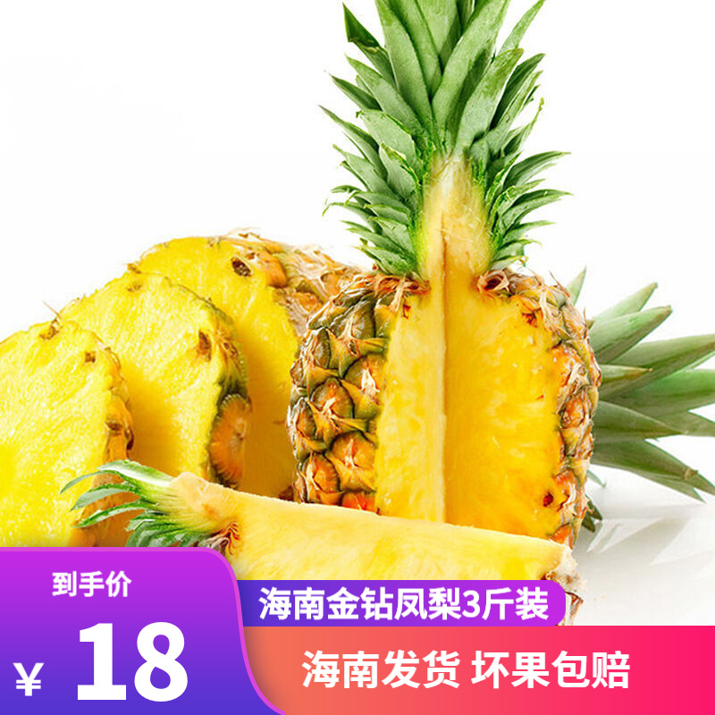 海南金钻凤梨5斤新鲜甜蜜蜜小菠萝应季热带水果单果约3-4个 现摘现发