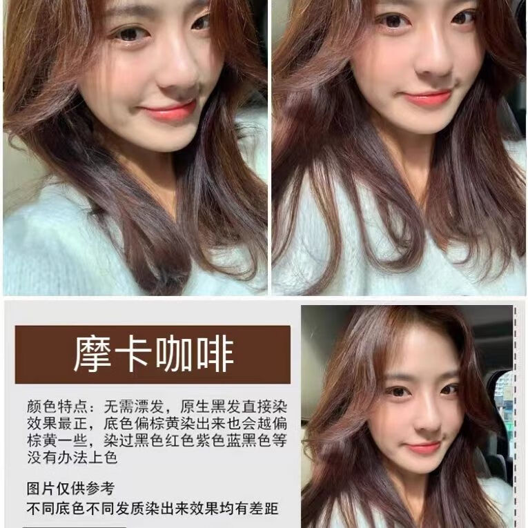 彩运来懒人植物萃取染发膏不挑发色发质随用随染网红发色可选时尚流行色 #002摩卡咖啡 600mL