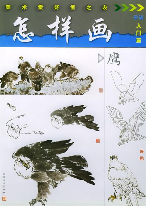 怎样画鹰—美术爱好者之友