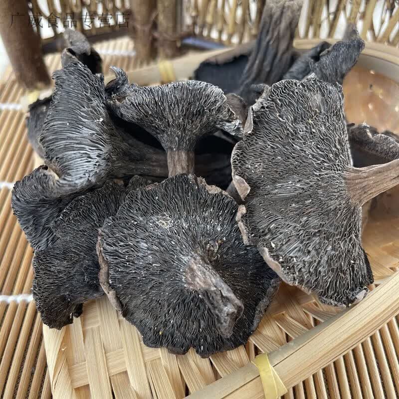 食怀野生碳菇天然黑炭菇黑蘑菇新鲜碳菇干货野生蘑菇东北 黑炭菇250g