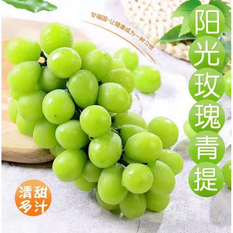 阳光玫瑰青提子日本引进品种晴王无籽绿葡萄新鲜净重3斤清甜多汁整箱