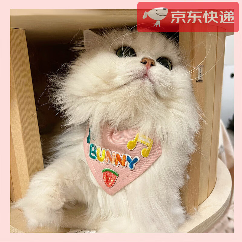 宠物围兜猫咪狗狗通用可爱口水巾三角巾项圈小型犬围嘴宠物用品 字母