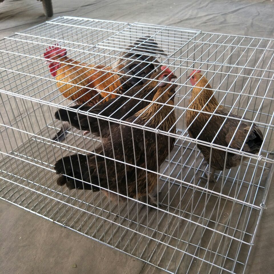 加密加粗兔子笼特大号鸡笼子鸽子笼鸟笼养殖笼运输笼小鸡笼鹌鹑笼