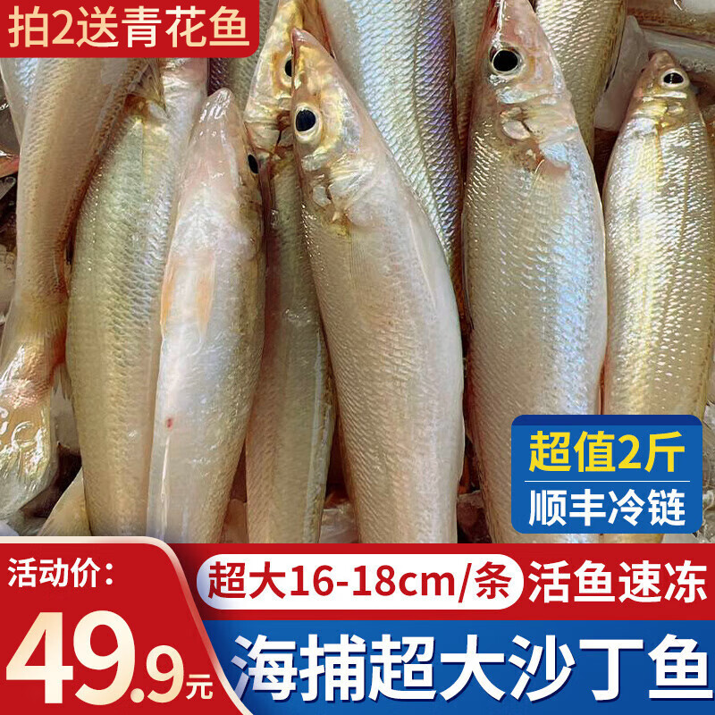 朵芙新鲜沙丁鱼 国产活冻沙尖沙钻鱼人工冷冻 船捕海鲜水产鱼类 新鲜