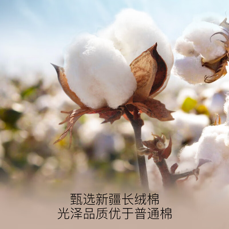 AUN内裤男士100%纯棉黑色抗菌内档春夏薄款四角裤头透气吸汗高端礼盒 3条礼盒装-黑灰白 3条 2XL（70-80kg）