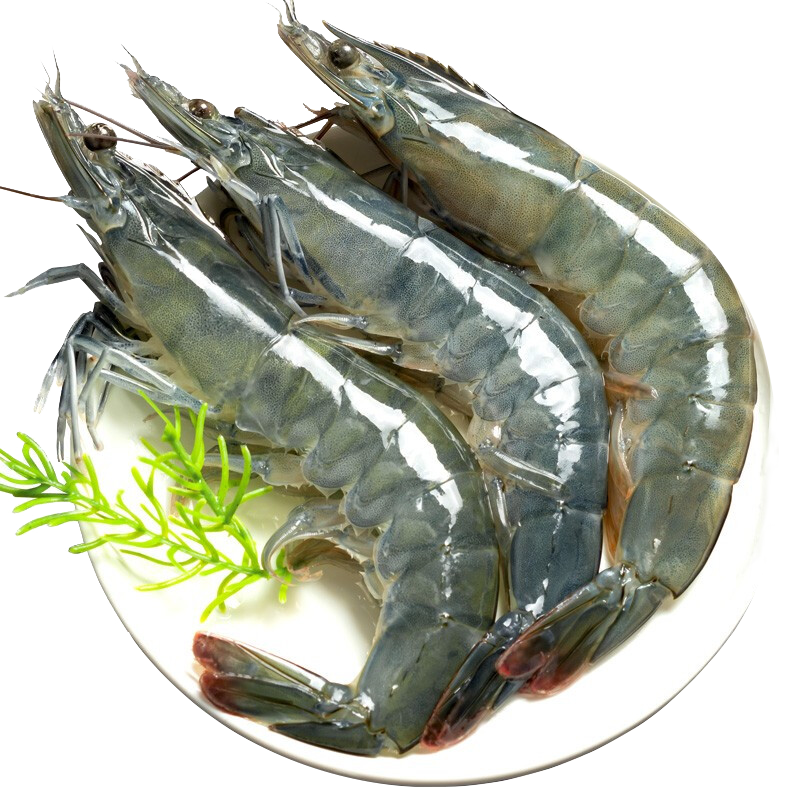 XYXT 虾有虾途 新鲜青岛大虾 单只15-17厘米 2kg