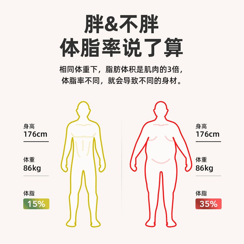 小熊（Bear）体脂秤 智能人体电子秤 称重体重秤家用成人男女减肥体质脂肪秤  蓝牙电子称体重计DZC-D15D1