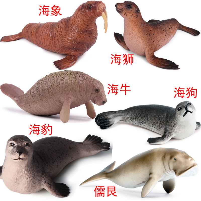 水獭 海豹海狗海狮海象海牛河狸水獭儒艮仿真玩具海洋动物生物模型