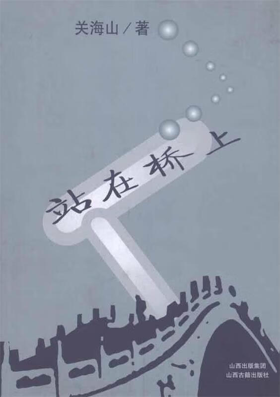 【满59包邮】站在桥上