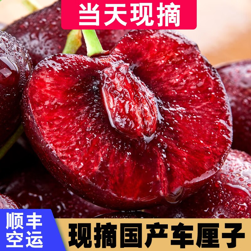 京东超市 2021-04-14 - 第27张 | 最新购物优惠券 京东超市 2021-04-14 - 第27张 | 最新购物优惠券