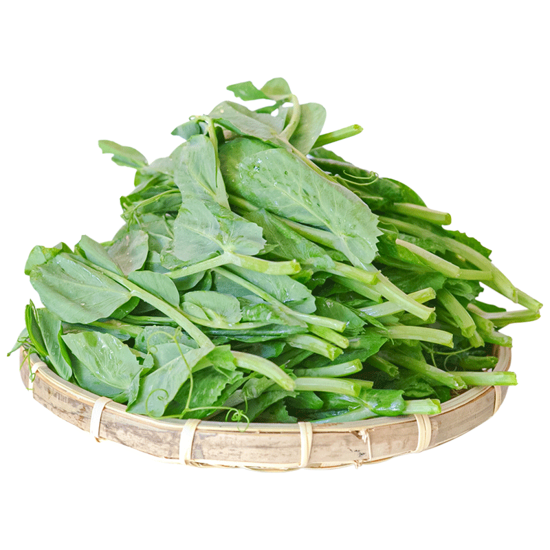 壽禾四川豌豆尖苗種子四季豌豆無須的批發(fā)青菜夏秋季食用芽苗菜 肥尖三號無須豌豆尖種子500gx5袋