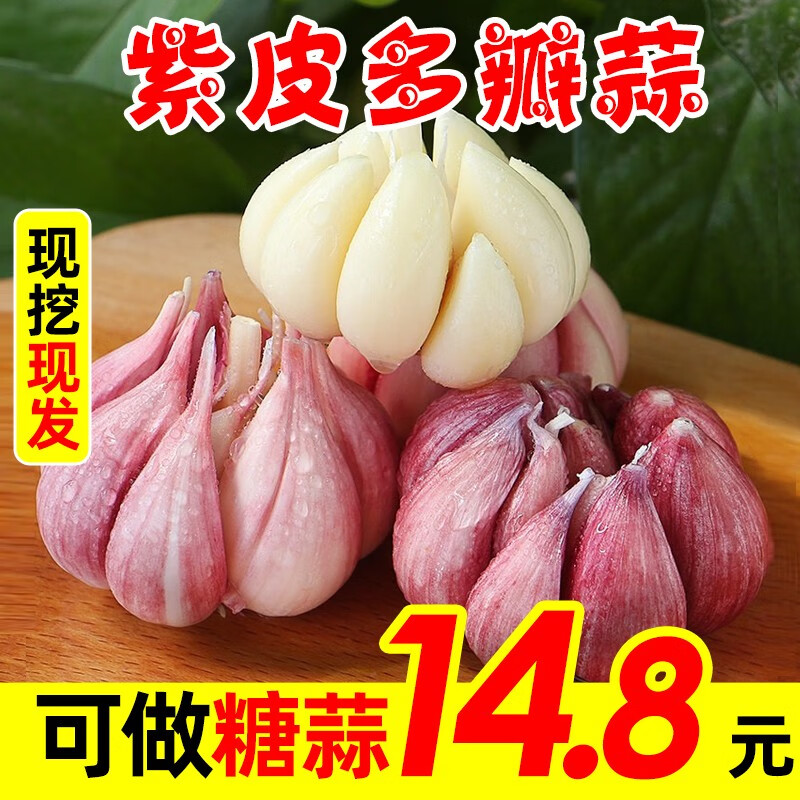 山东干大蒜 蒜 新鲜蒜 白皮蒜头 新鲜蔬菜 大蒜头 3斤装