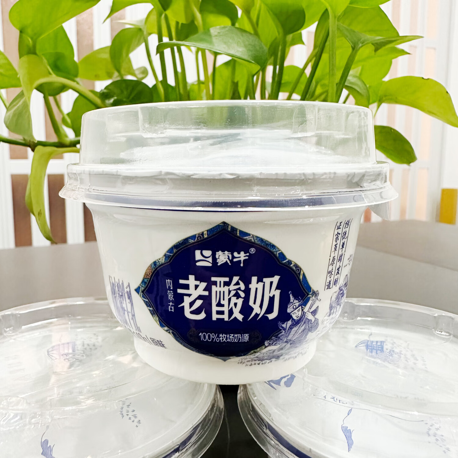 蒙牛内蒙古老酸奶原味发酵乳140g低温酸牛奶风味发酵乳冷藏整箱 老