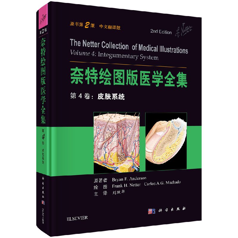 奈特绘图版医学全集 第4卷：皮肤系统（原书第2版）