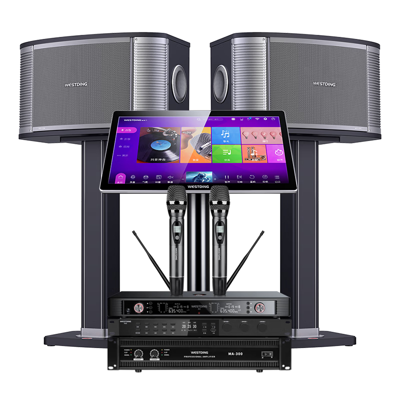 ˹ͥ͡ktvװһKTVȫ豸ÿӰԺokƷ12ķƵţ-T1