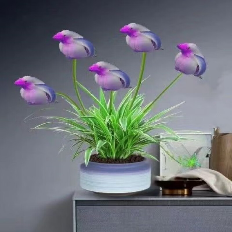 荣郁 小鸟花四季开花室内花卉绿植室外盆栽不怕冷不怕热好看又好养的