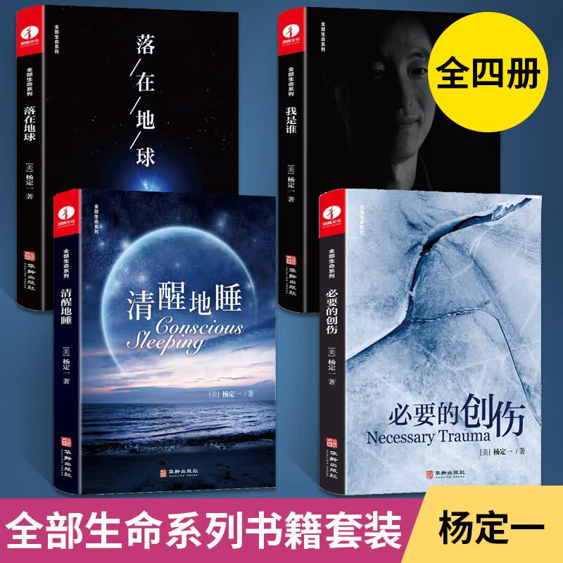 【全4册】杨定一全部生命系列 必要的创伤 我是谁 清醒地睡 落在地球