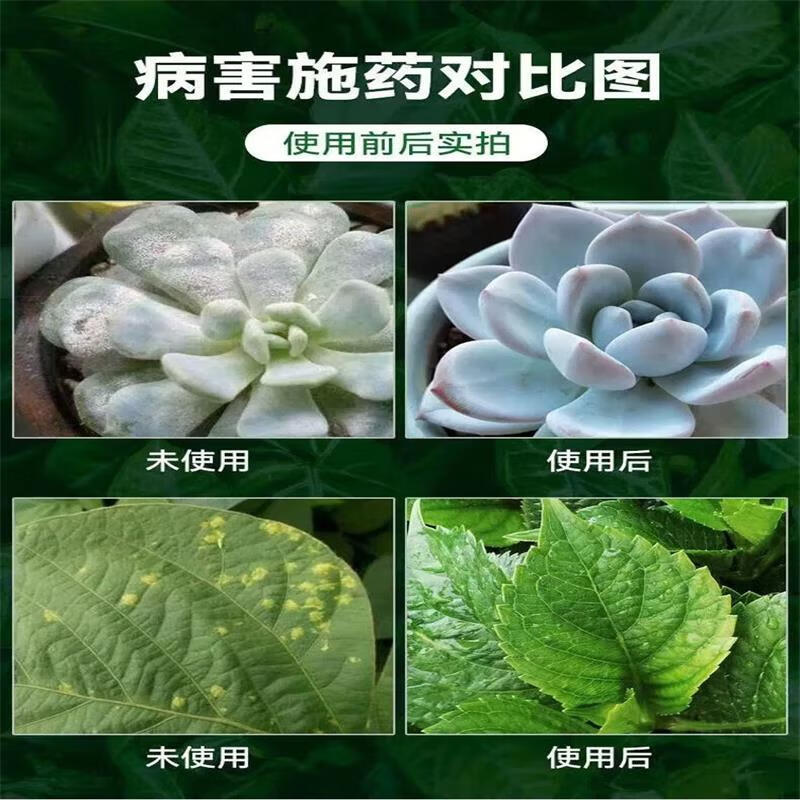 多肉白粉病专用剂杀菌防虫救白粉斑烂根化水黑腐植物通用多菌灵 一瓶体验装