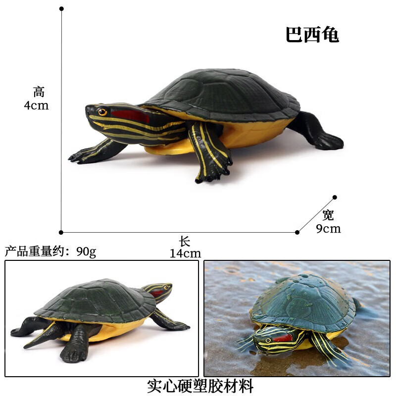 oenux海洋动物模型海龟玩具实心乌龟仿真小生物摆件手办儿童象龟棱皮