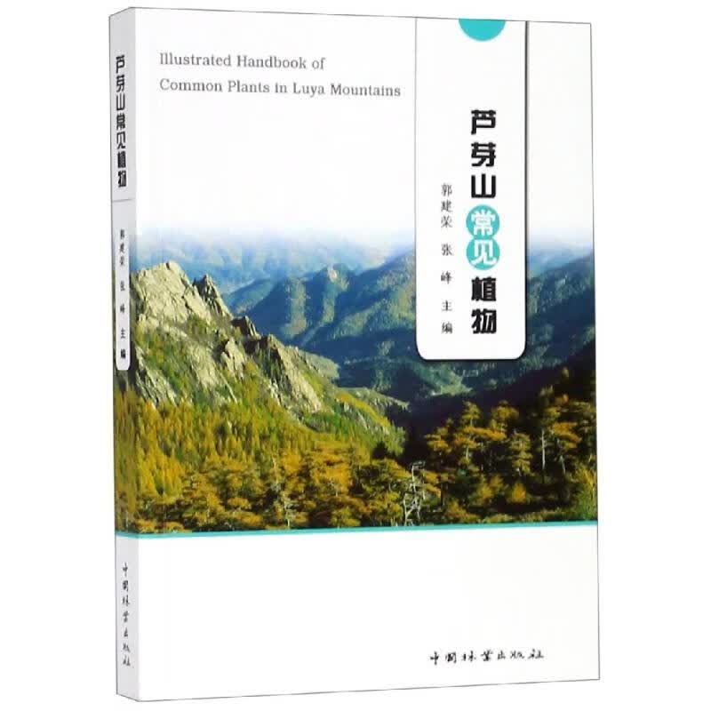 芦芽山常见植物