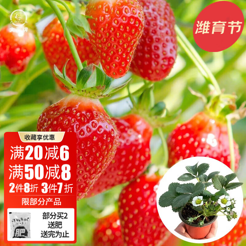 网购蔬菜类历史价格走势|蔬菜类价格走势图