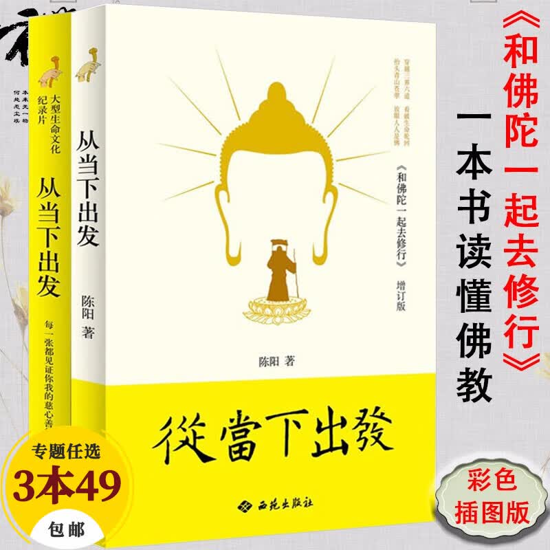 【包邮】佛学与佛教史佛教常识答问知识书 从当下出发（附光盘）定价99