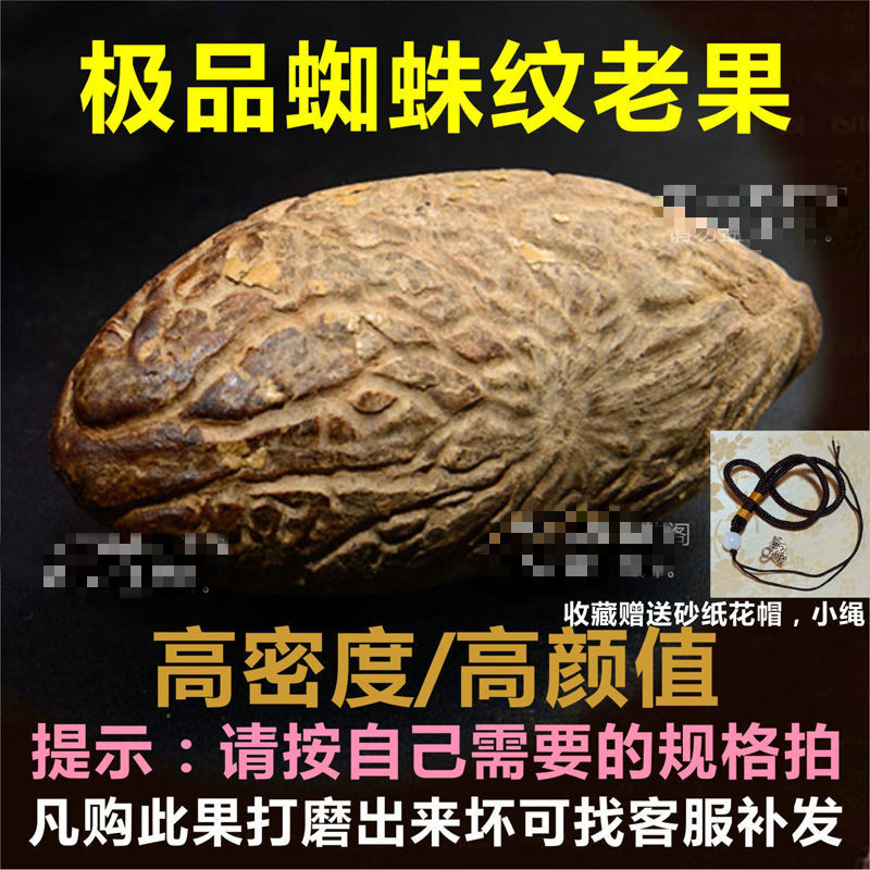 萨拉拉 千眼菩提子原籽 超大 星月金刚原料手把件精选成品老果sn5067