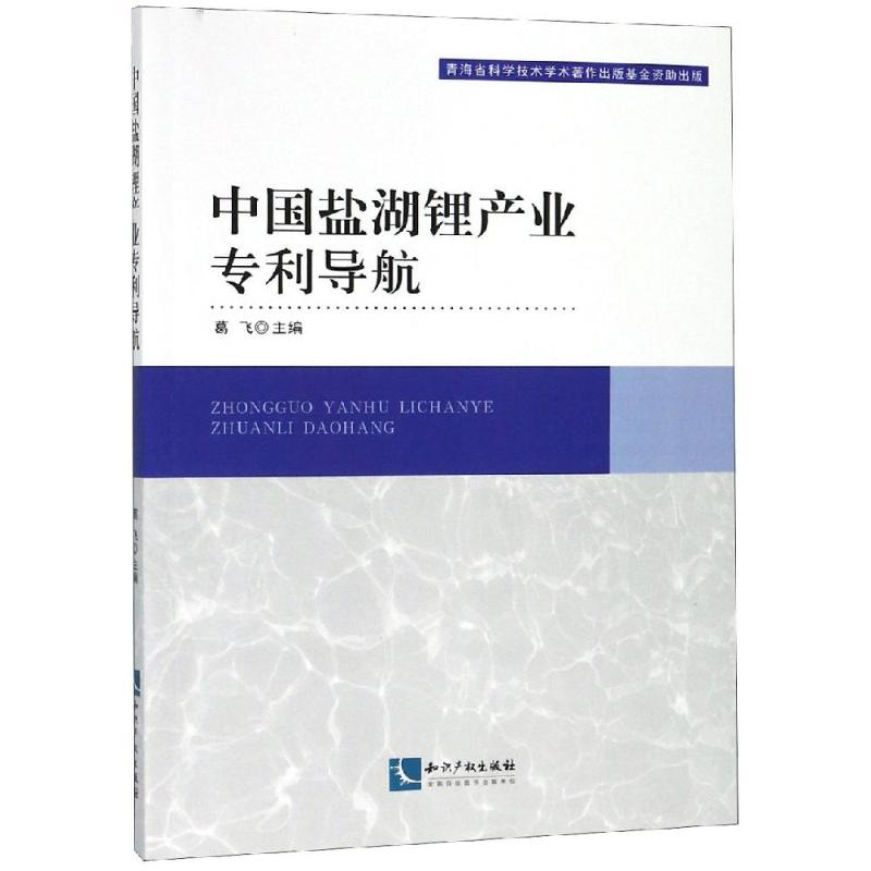 中国盐湖锂产业专利导航