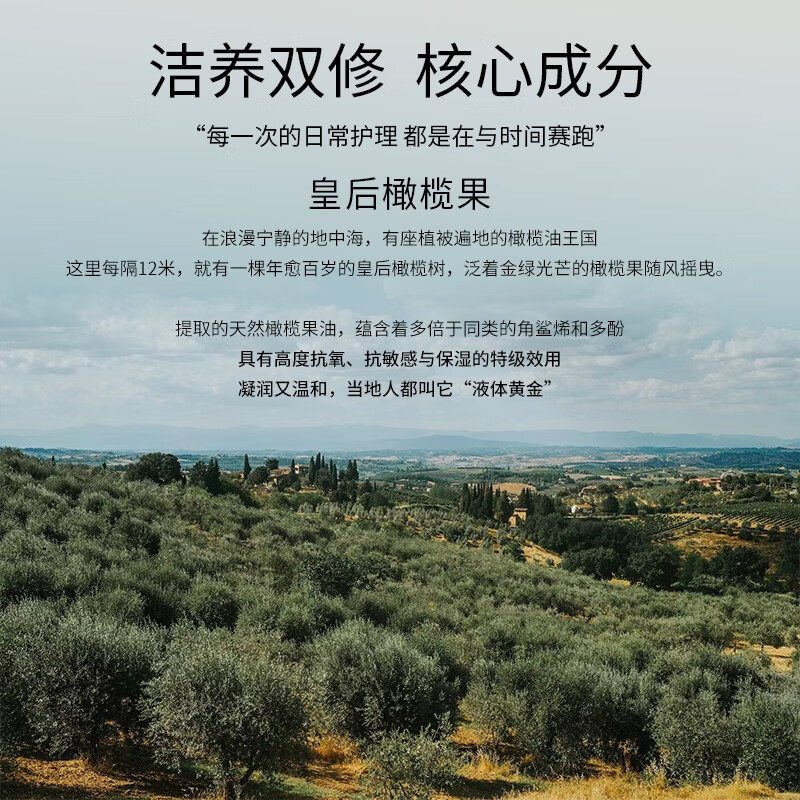 丽芙法国丽芙进口橄榄果油泡沫洁面液500ml 抗糖洗面奶 温和大棕瓶